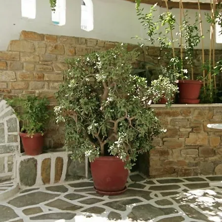 Guest house Jasmine Parikia (Paros)